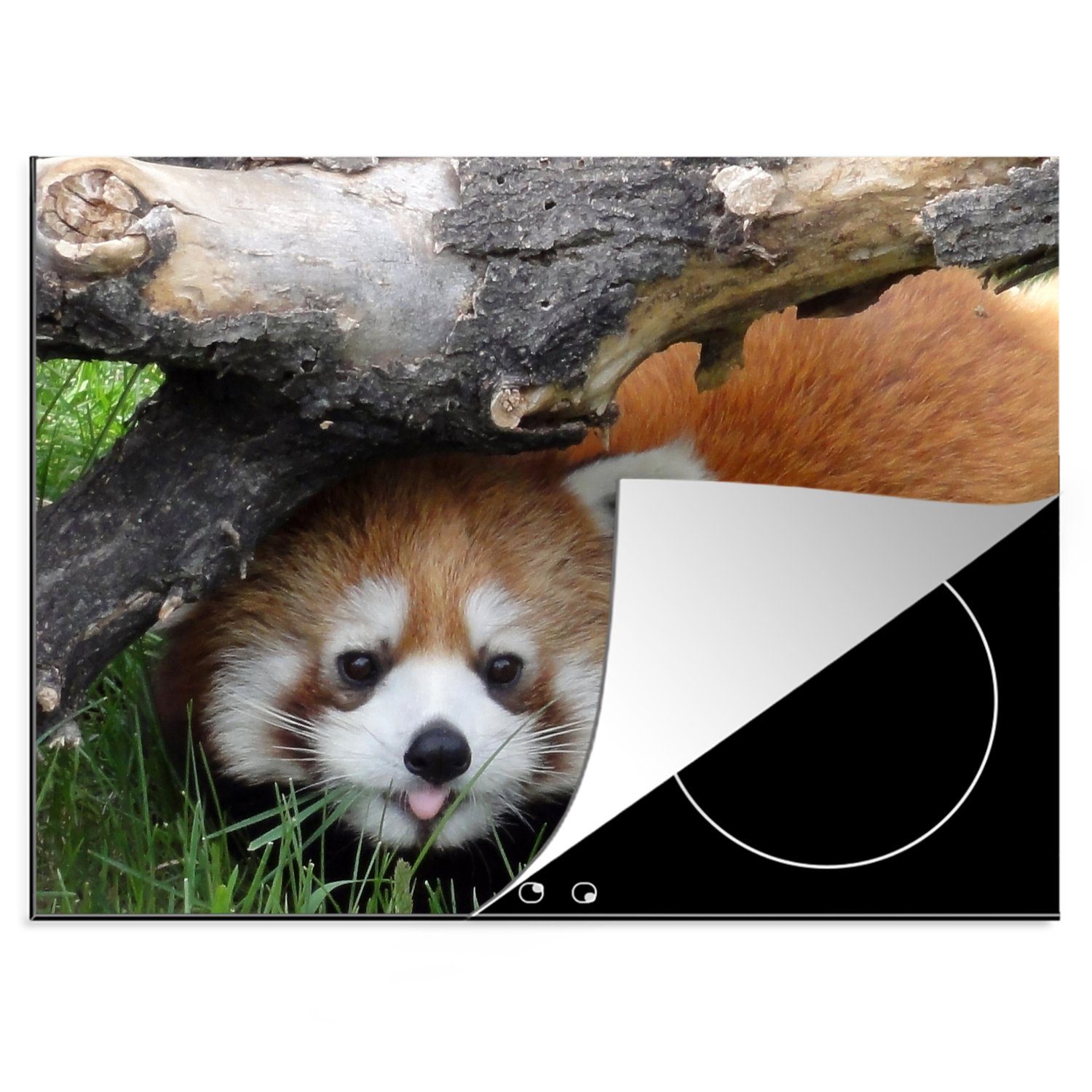 MuchoWow Herdblende-/Abdeckplatte Roter Panda - Stängel - Gras, Vinyl, (1 tlg), 70x52 cm, Mobile Arbeitsfläche nutzbar, Ceranfeldabdeckung | Herdabdeckplatten