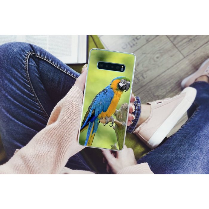 MuchoWow Handyhülle Blaukehlaras sitzen sich auf einem Ast gegenüber Phone Case Handyhülle Samsung Galaxy S10+ Silikon Schutzhülle FN11358
