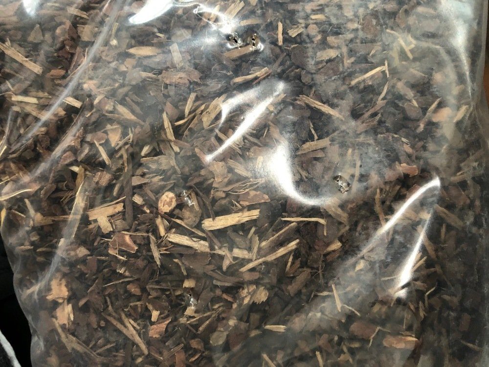 M&S Reptilien Terrarien-Substrat M&S Reptile Bark, 25 Liter Terrariensubstrat