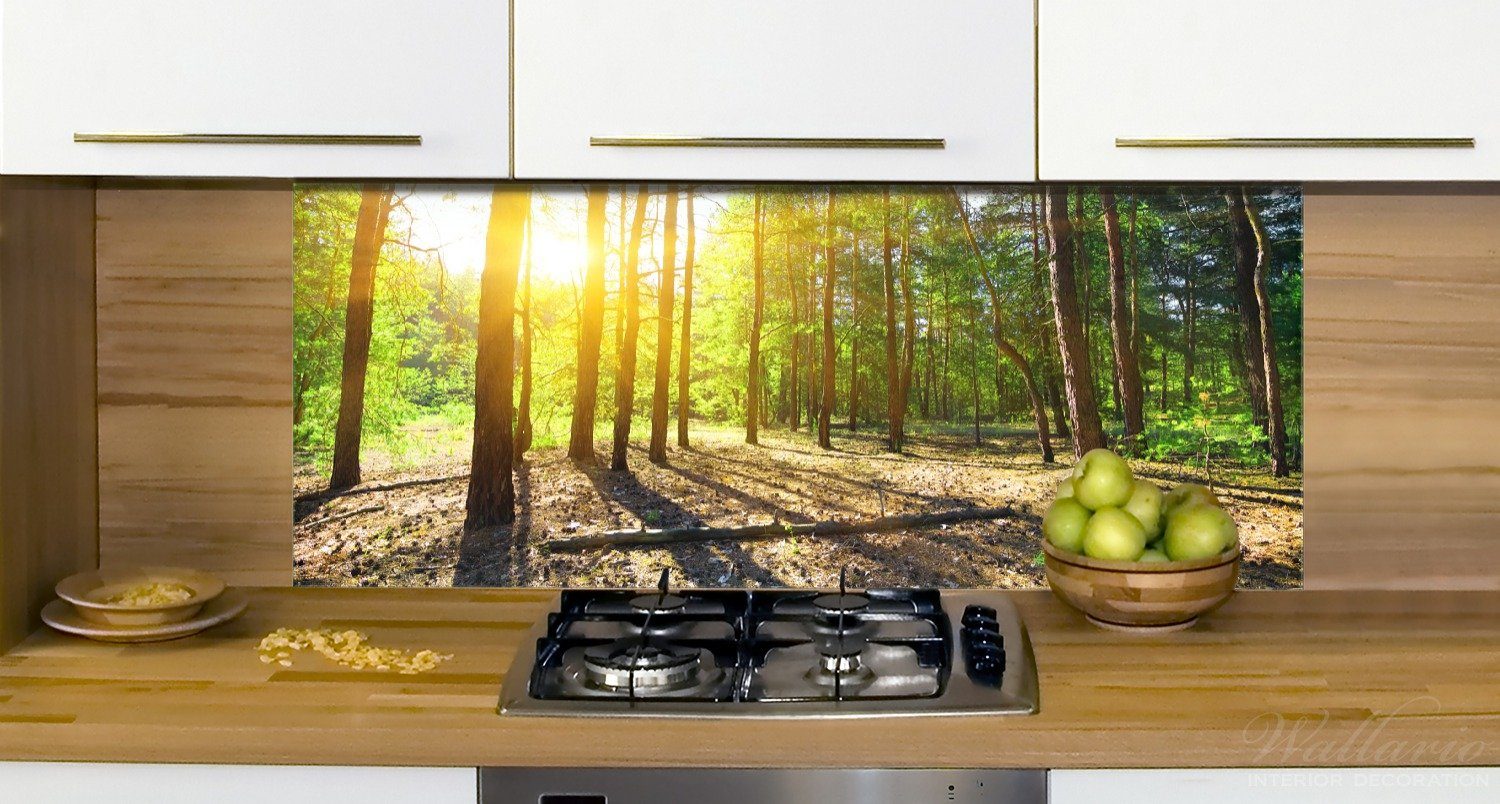 Küchenrückwand (1-tlg) hinter dem tief Wald, Wallario Sonnenstrahlen