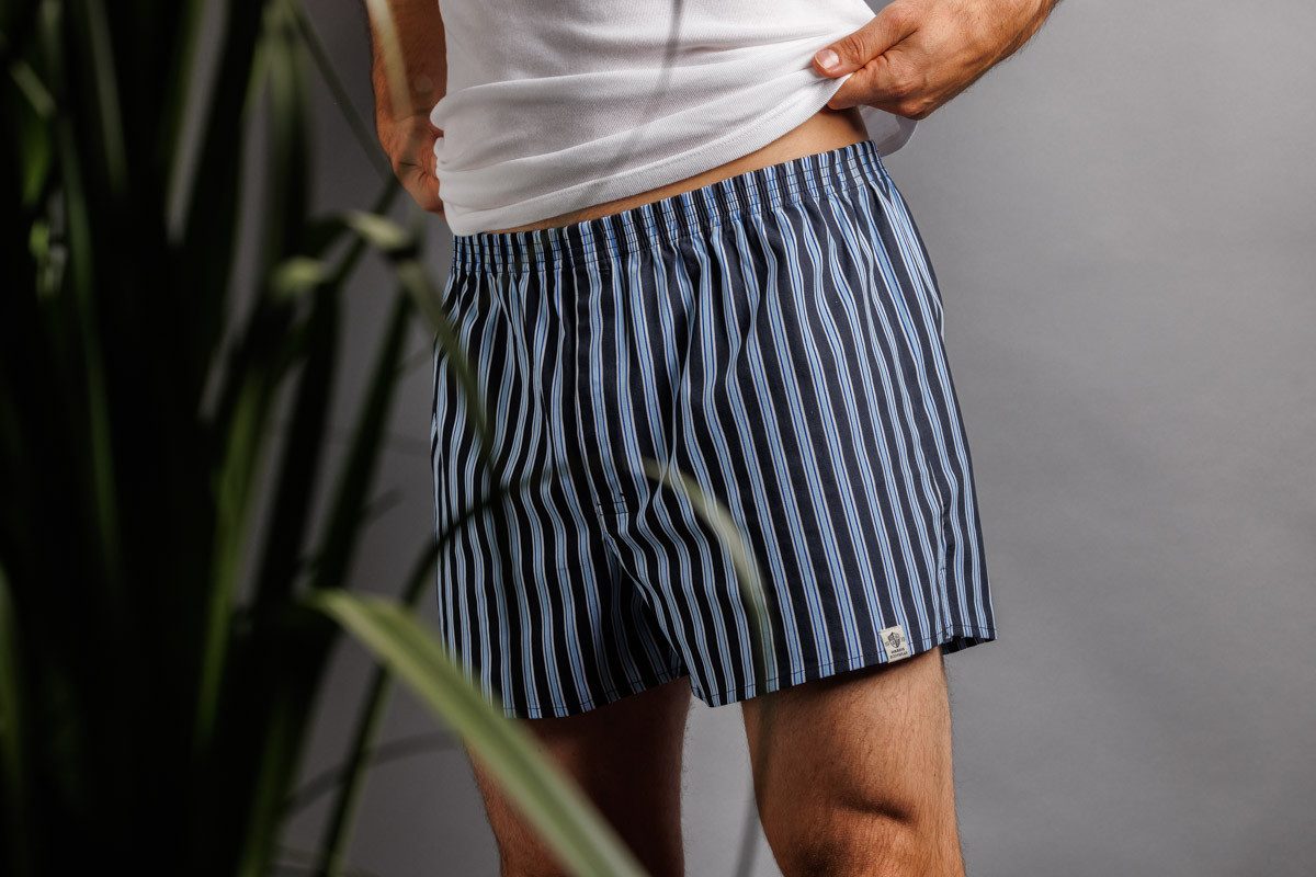 HAASIS Bodywear 1919 Boxershorts Herren Web-Boxer 77922951-navy-Streifen (Packung, 2-St., 2er Pack) Modische Web-Boxer, Knopfleiste