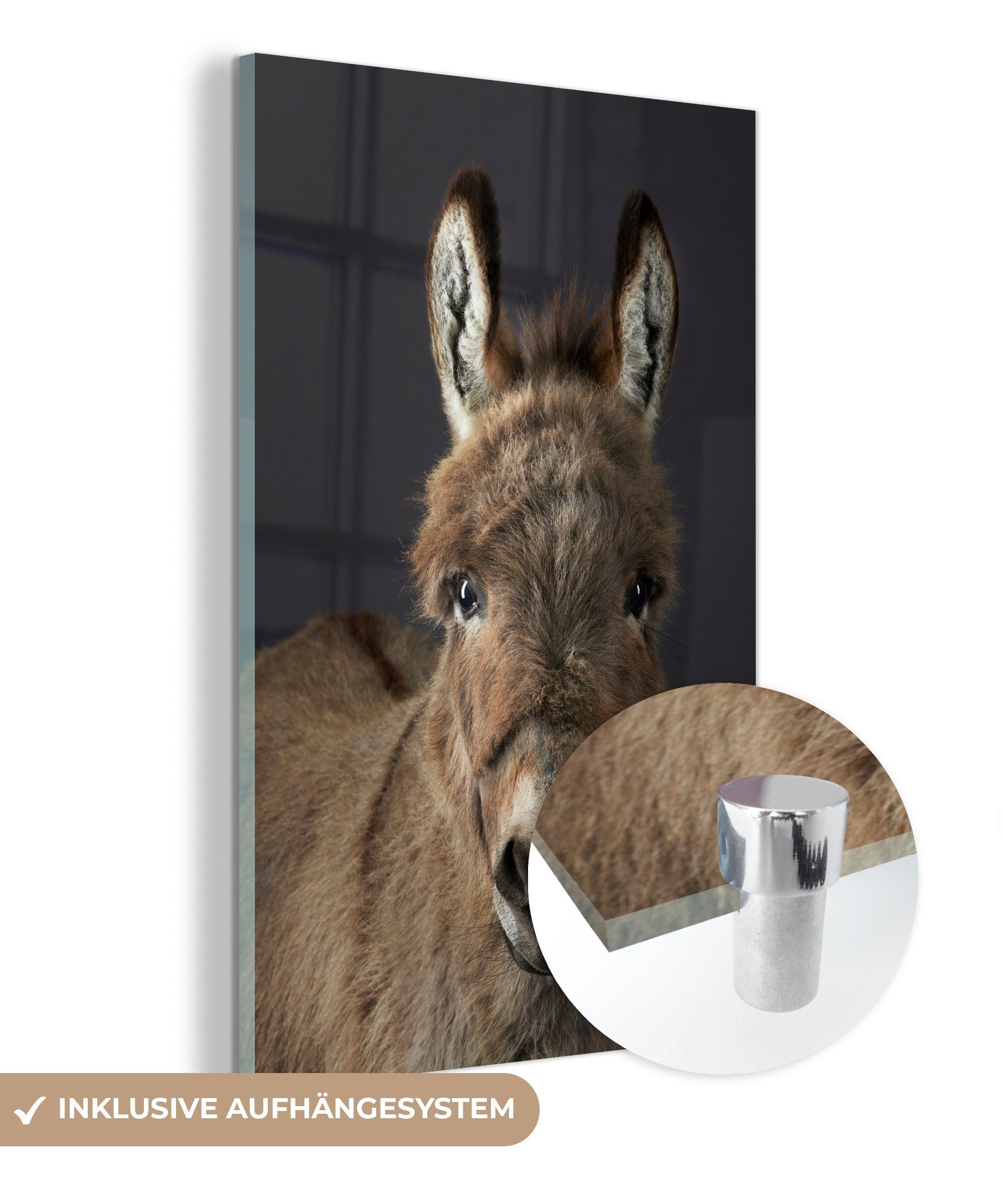 MuchoWow Acrylglasbild Portrait-Staffelei, Inkl. Aufhängung, Bilder günstig online kaufen