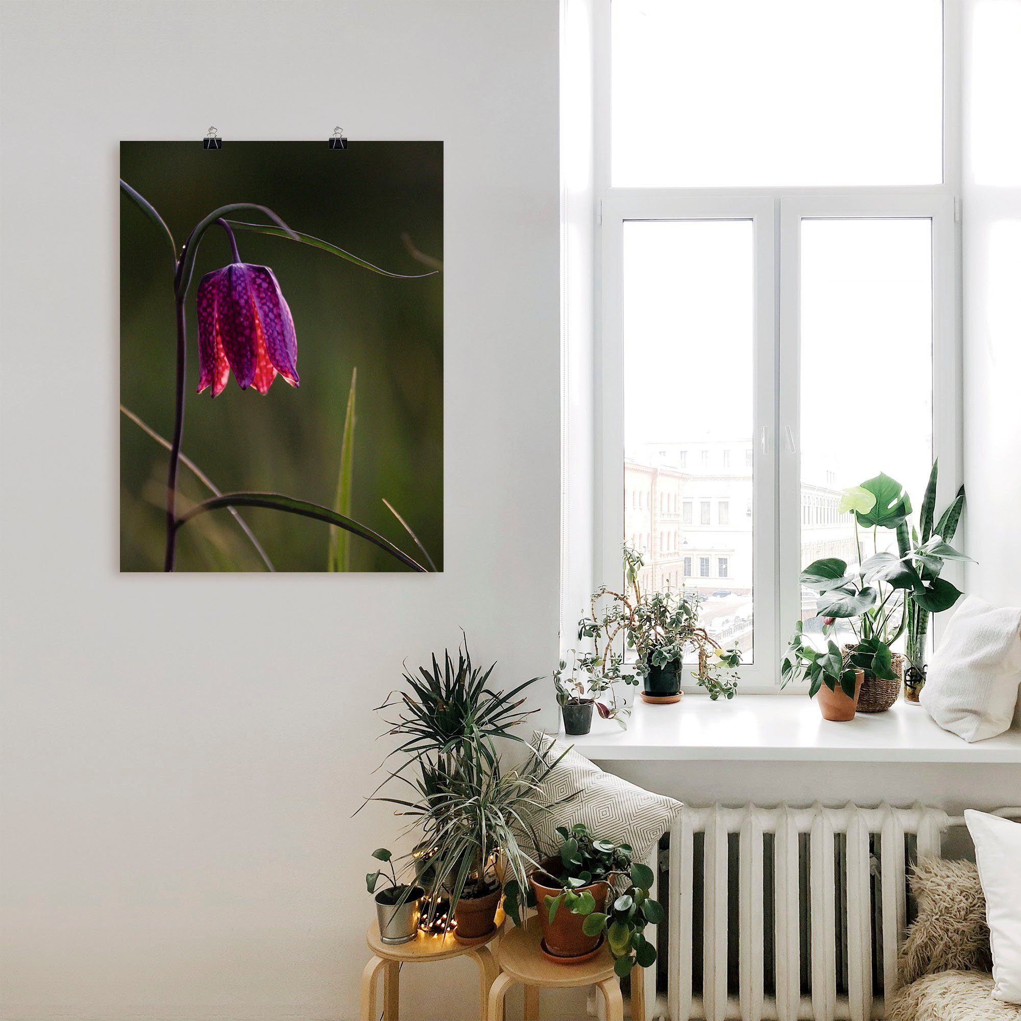 oder Größen Blumen Artland St), (1 Leinwandbild, Schachbrettblume, als Wandaufkleber in Poster Wandbild versch. Leuchtende Alubild,