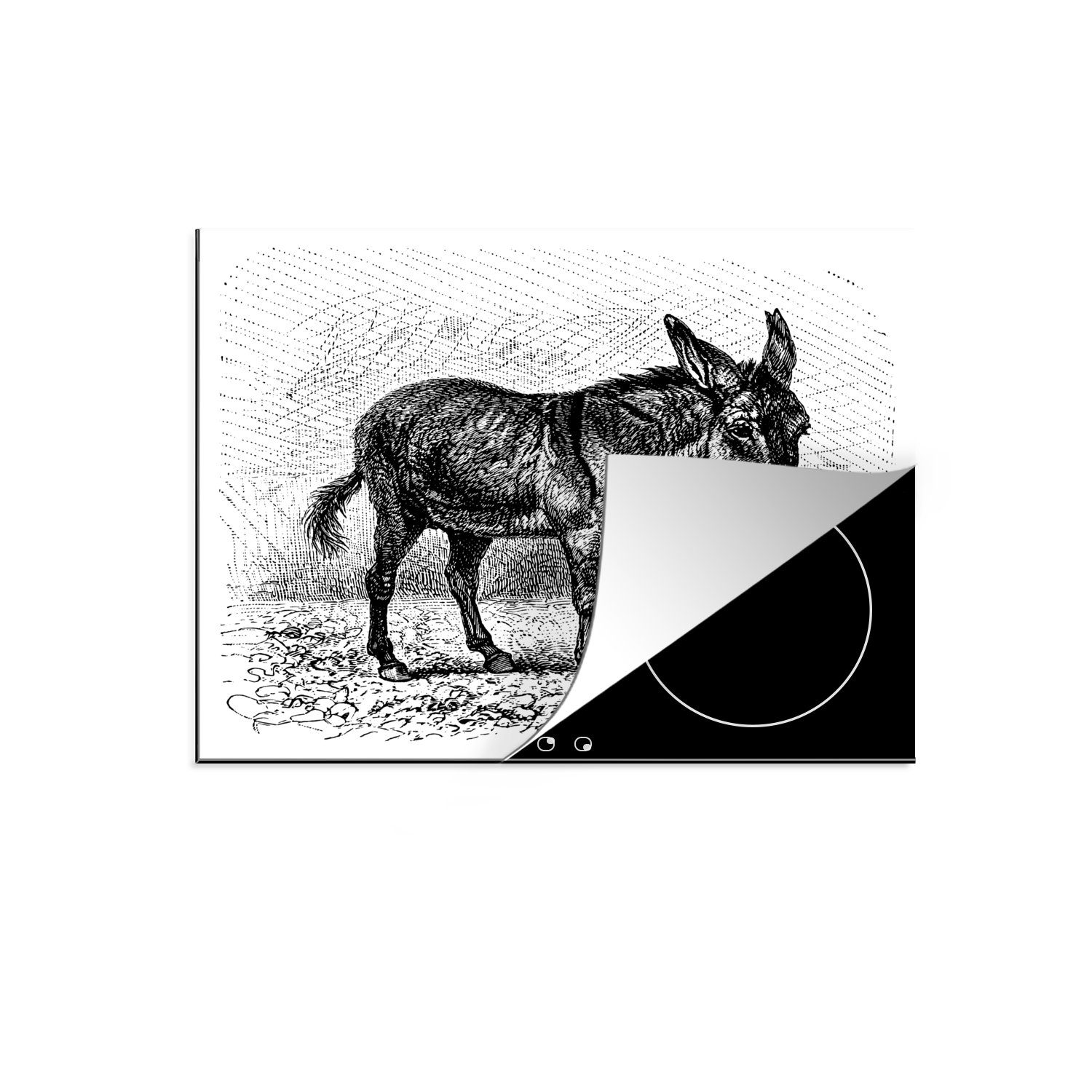 MuchoWow Herdblende-/Abdeckplatte Eine Illustration eines Esels, Vinyl, (1 tlg), 57x51 cm, Induktionsschutz, Induktionskochfeld, Ceranfeldabdeckung | Herdabdeckplatten