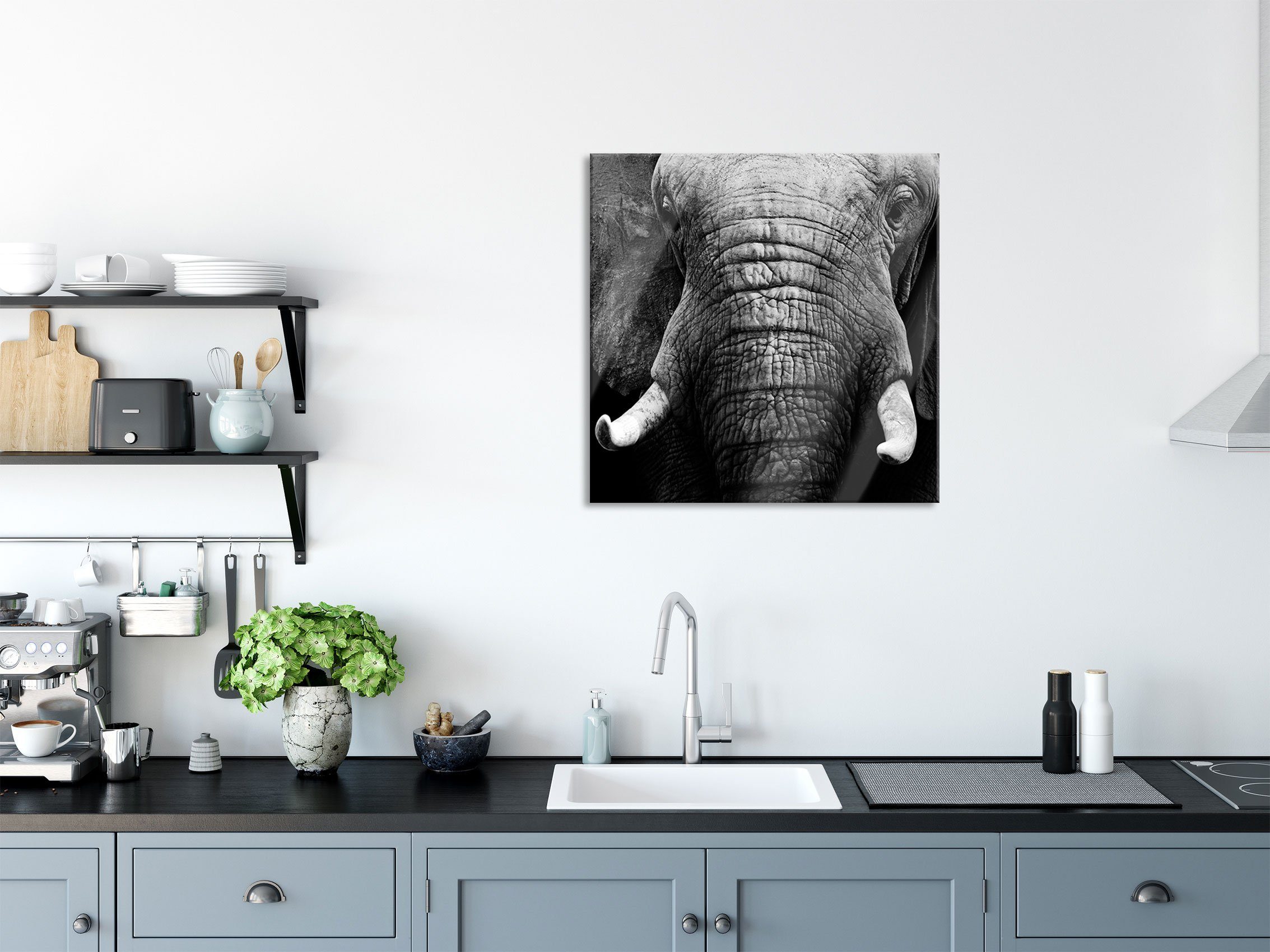 Pixxprint Glasbild Elefant Porträt, und Elefant Echtglas, Aufhängungen aus Porträt Abstandshalter Glasbild (1 inkl. St)