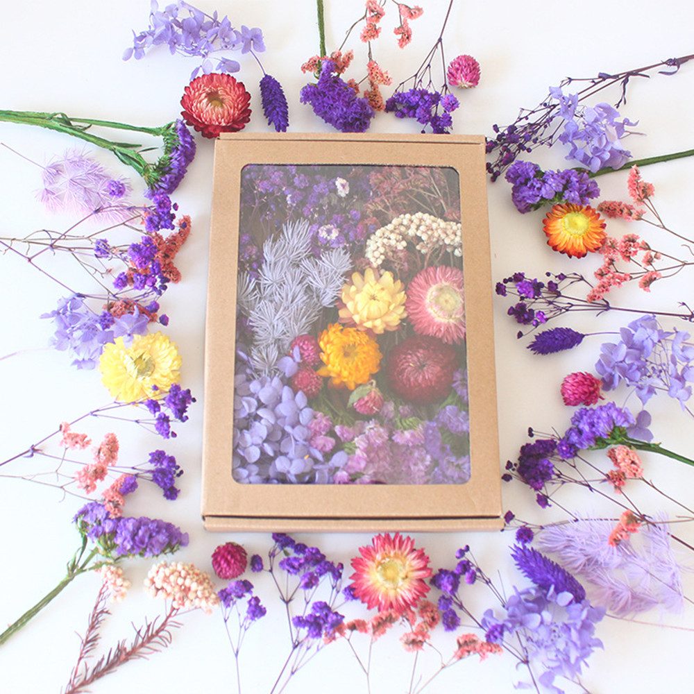 Trockenblume Klein Trockenblumen Deko Trockenblumen mit Papierbox
