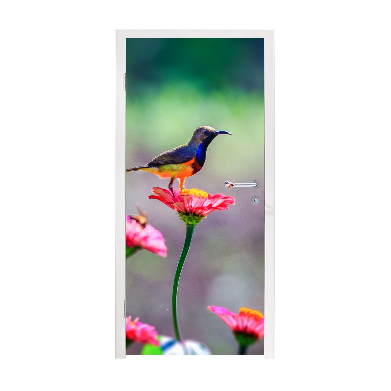 MuchoWow Türtapete Nahaufnahme eines Kolibris auf rosa Blüten, Matt, bedruckt, (1 St), Fototapete für Tür, Türaufkleber, 75x205 cm
