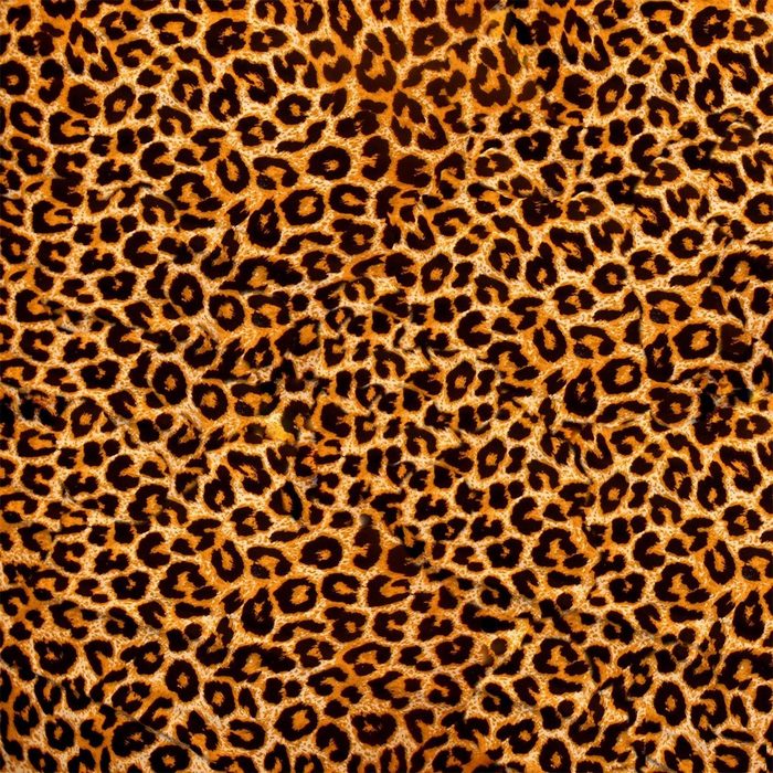 Wallario Möbelfolie Leopardenmuster in orange schwarz NF8360