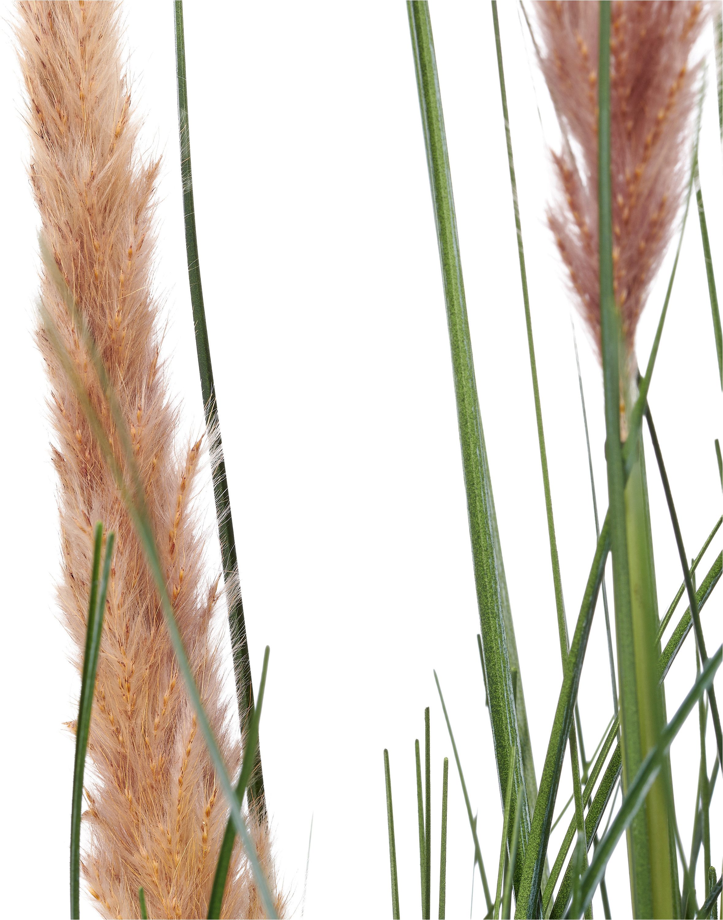 Kunstgras Grasbusch Cortaderia selloana, Creativ green, mit Naturwedeln – Bild 2 von 2