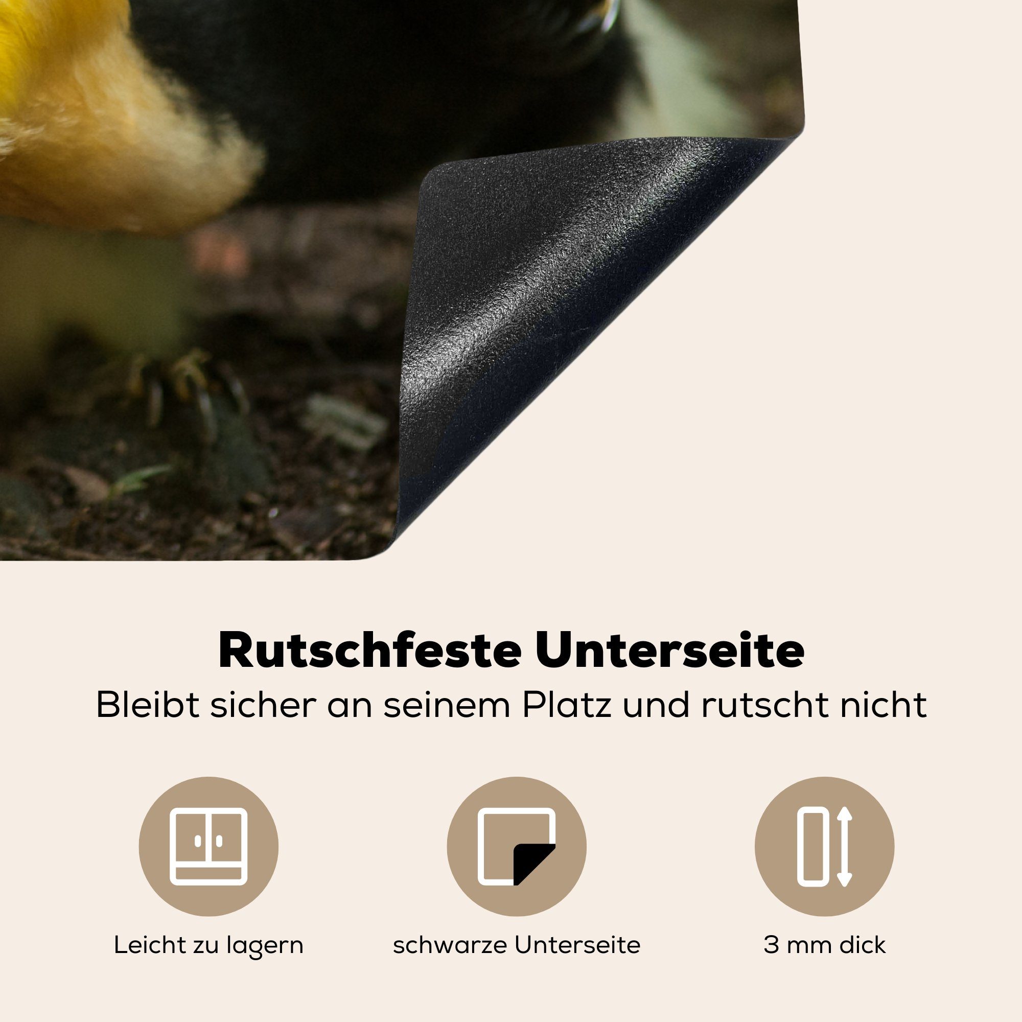 (1 küche, Induktionskochfeld Herdblende-/Abdeckplatte tlg), cm, - MuchoWow die Schutz Hornvogel Nahrung - Ceranfeldabdeckung Vinyl, für Tiere, 81x52