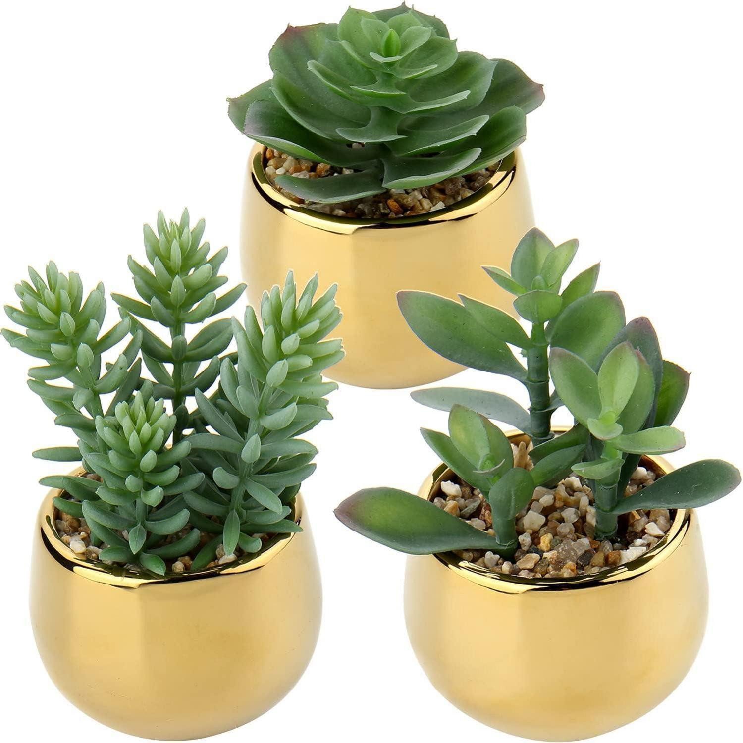 Kunstkaktus Kunstpflanzen Sukkulenten Keramiktopf Deko Wohnzimmer Gold Type-#1, LuxusKollektion