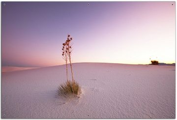 Wallario Sichtschutzzaunmatten Kleine Oase in der Wüste, rund
