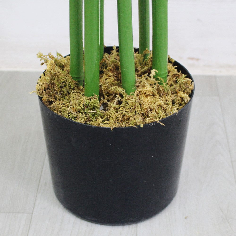 Detailansicht des Produkts 4