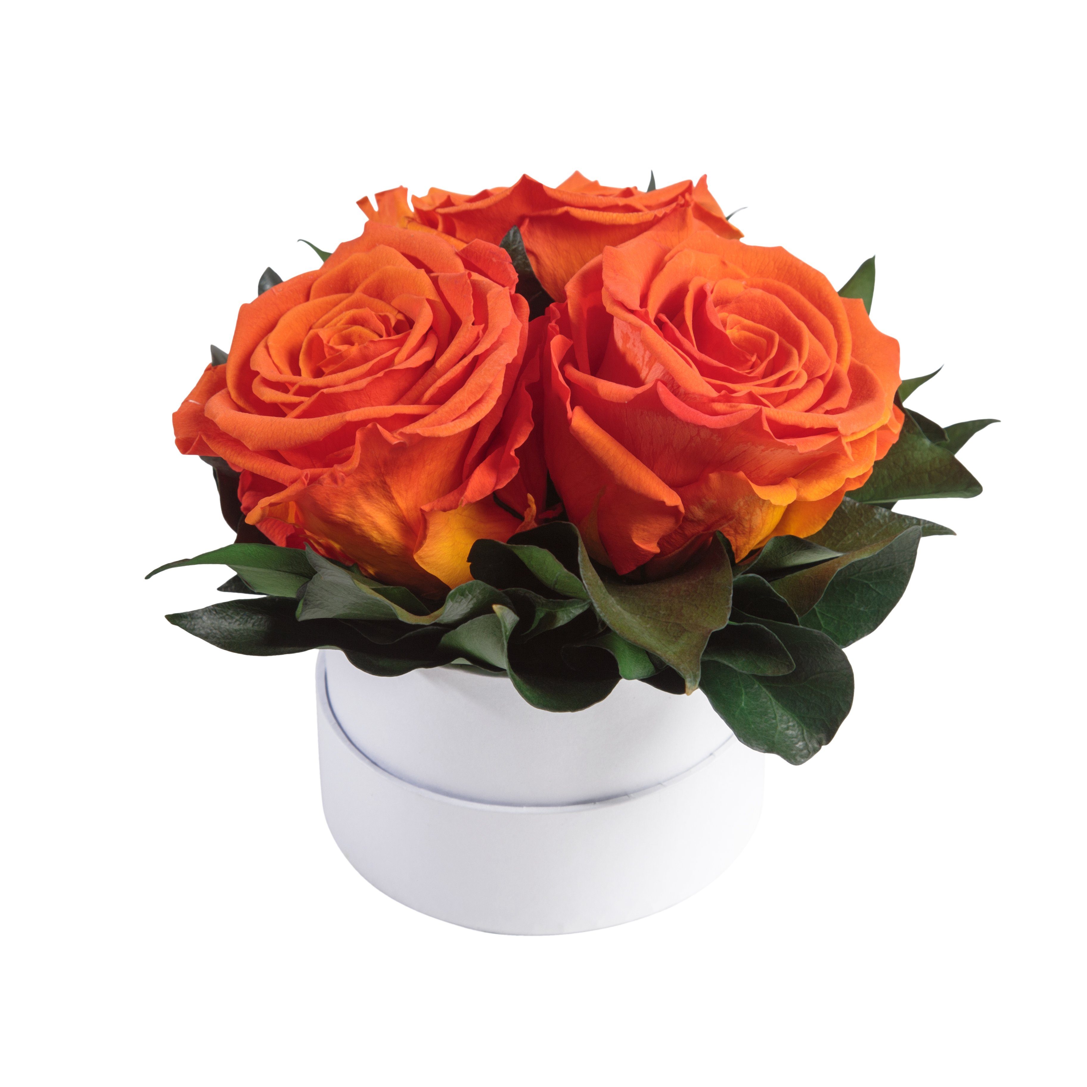Kunstblume Infinity Rosenbox weiß Orange ROSEMARIE 3 rund konserviert Rosen echte Geschenk 10 für Rosen cm, Heidelberg, Sie Rose, Höhe SCHULZ