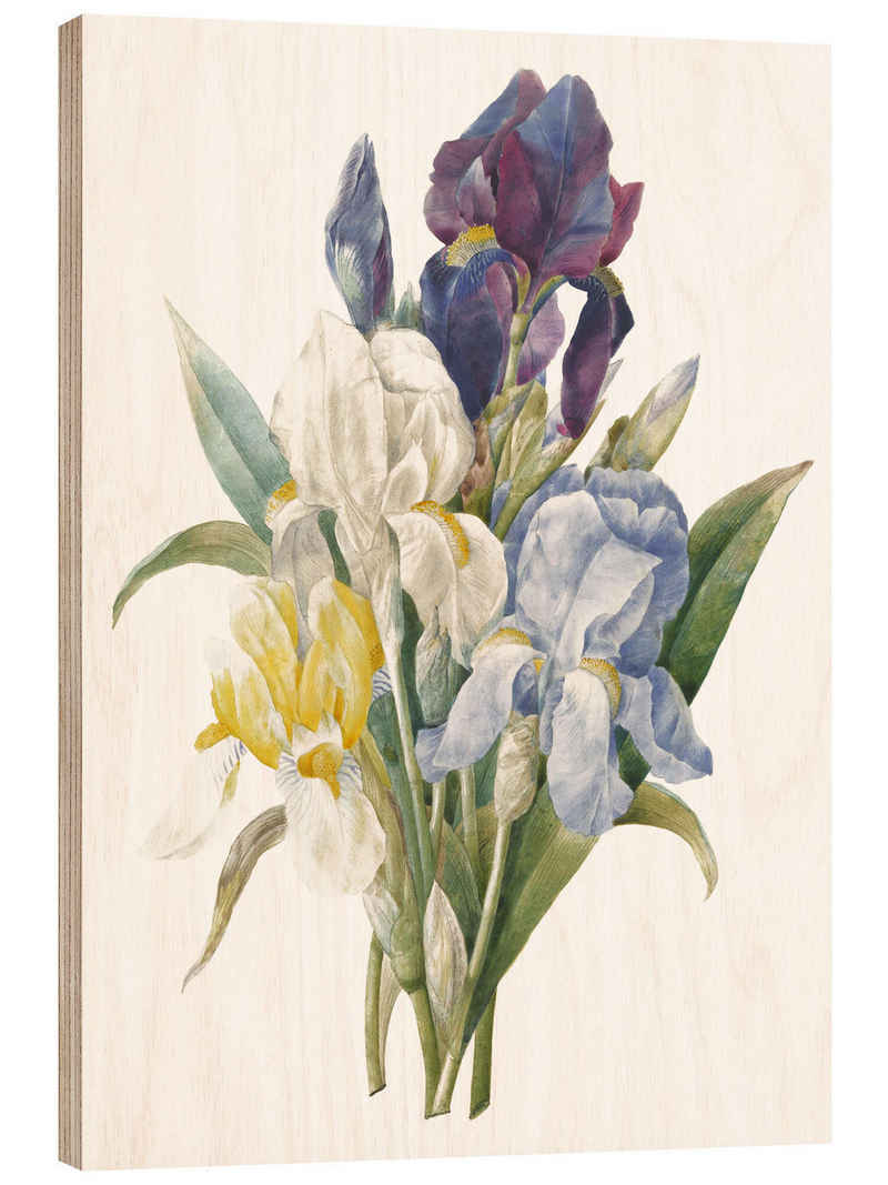 Posterlounge Holzbild Pierre Joseph Redouté, Iris, Vintage Malerei