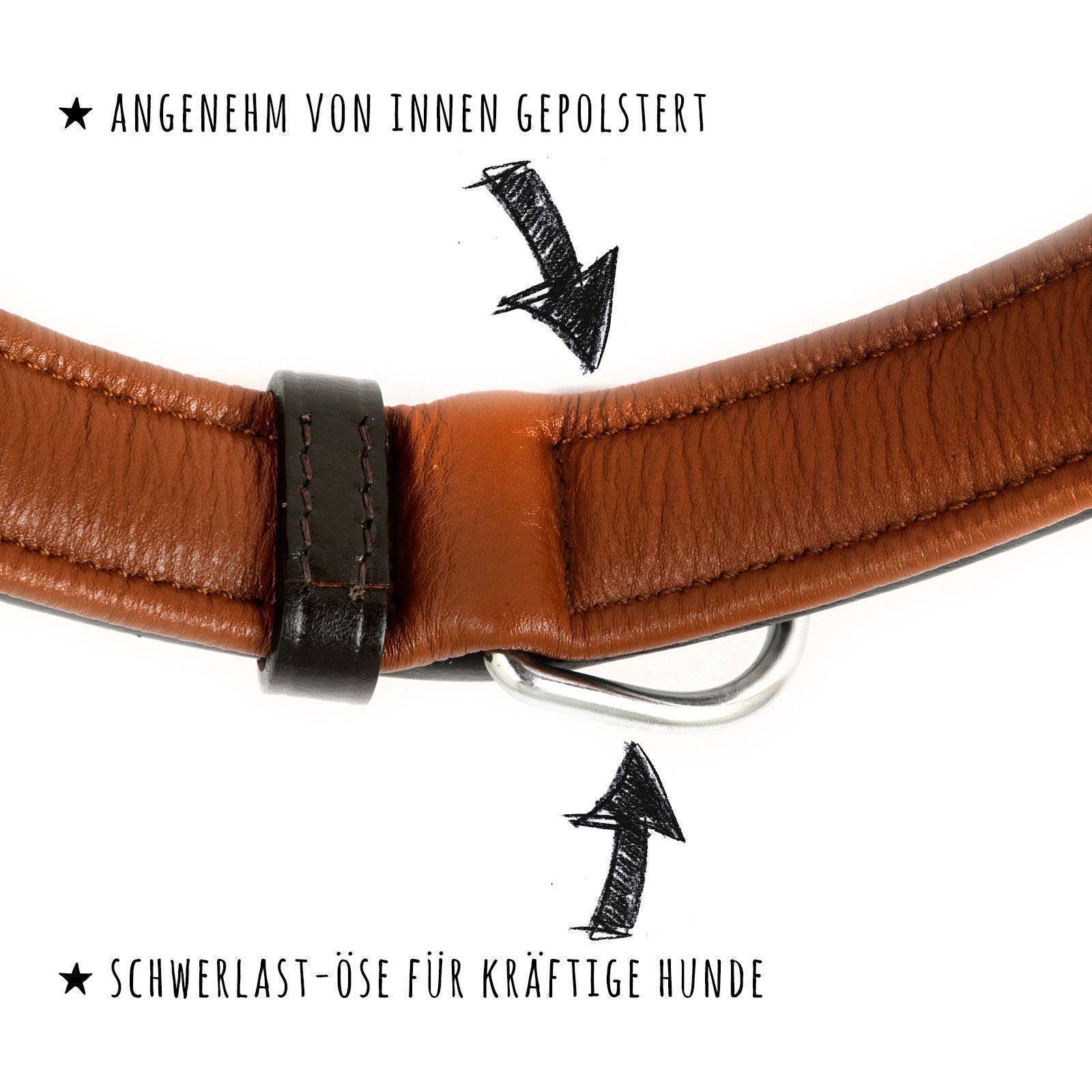 Monkimau Hunde-Halsband Hundehalsband aus Leder, Leder
