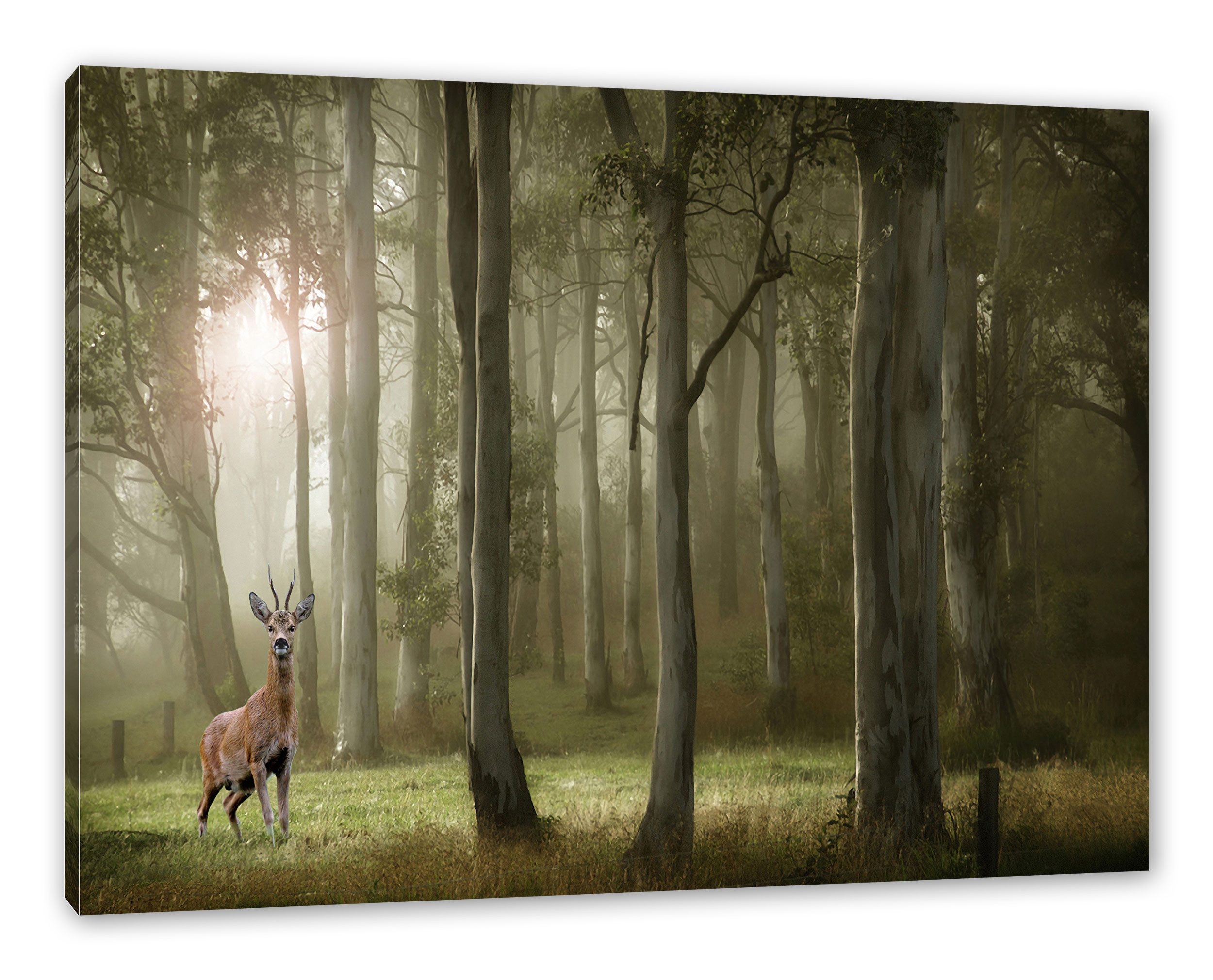 Pixxprint Leinwandbild Hirsch im Wald, Hirsch im Wald (1 St), Leinwandbild fertig bespannt, inkl. Zackenaufhänger
