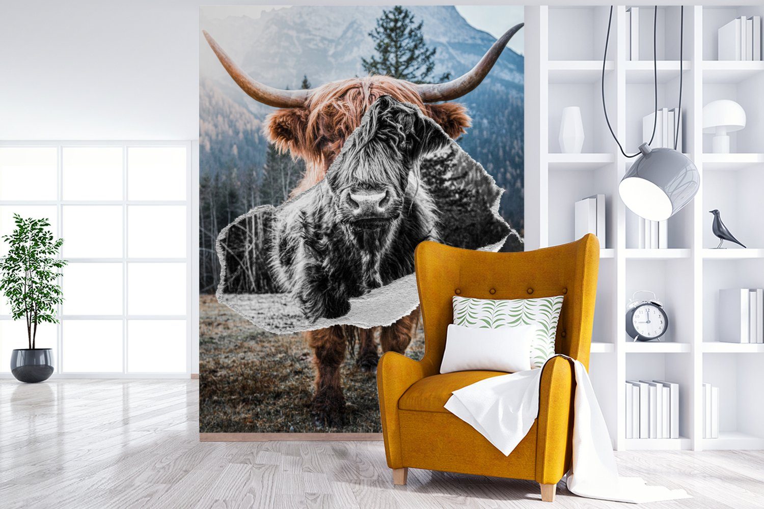 Schottischer Highlander für Wohnzimmer, MuchoWow bedruckt, Montagefertig Vinyl - Schwarz - St), - Wandtapete Matt, Weiß, (4 Fototapete Tapete Tiere