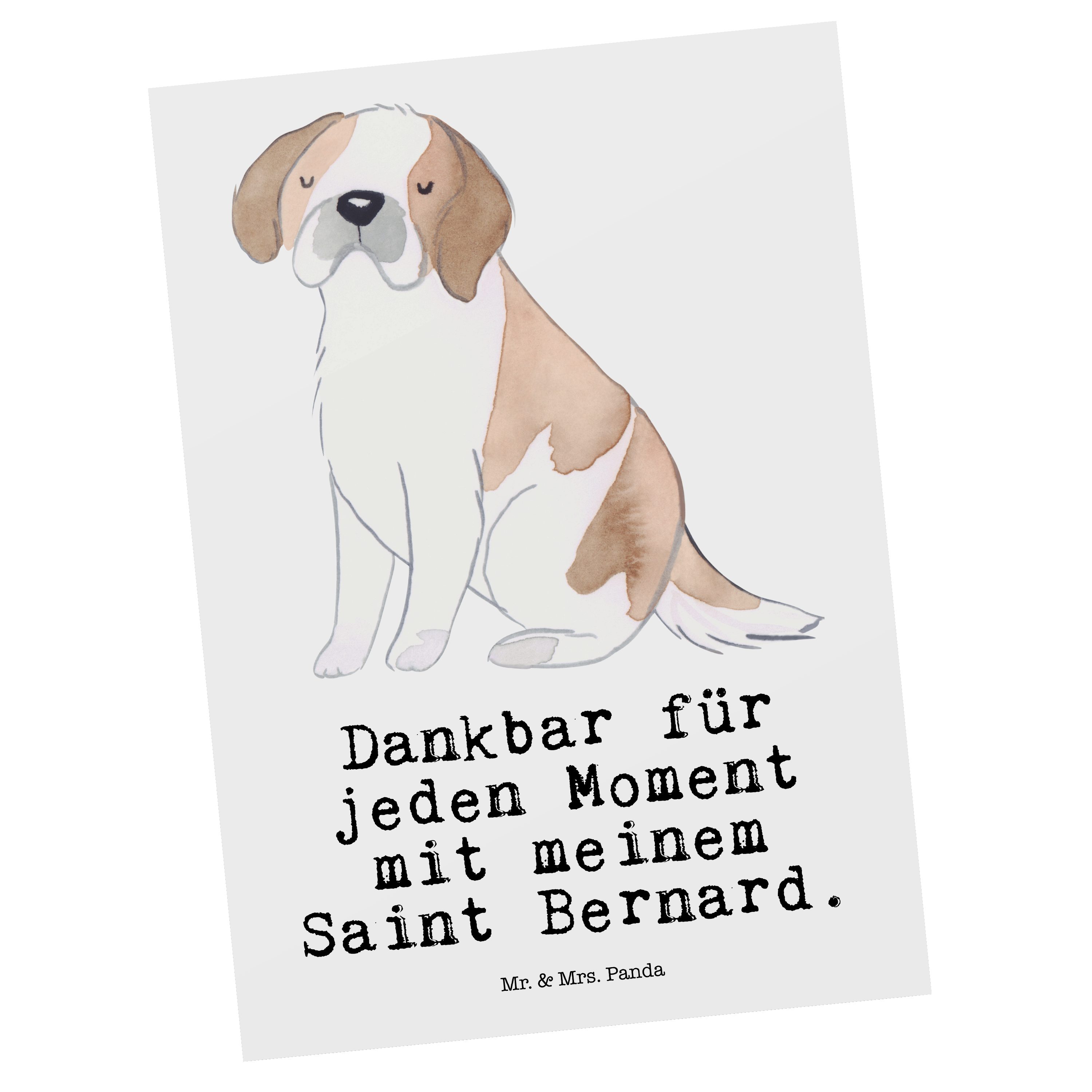 Mr. & Mrs. Panda Postkarte Saint Bernard Moment - Weiß - Geschenk, Hund, Geschenkkarte, Dankeska