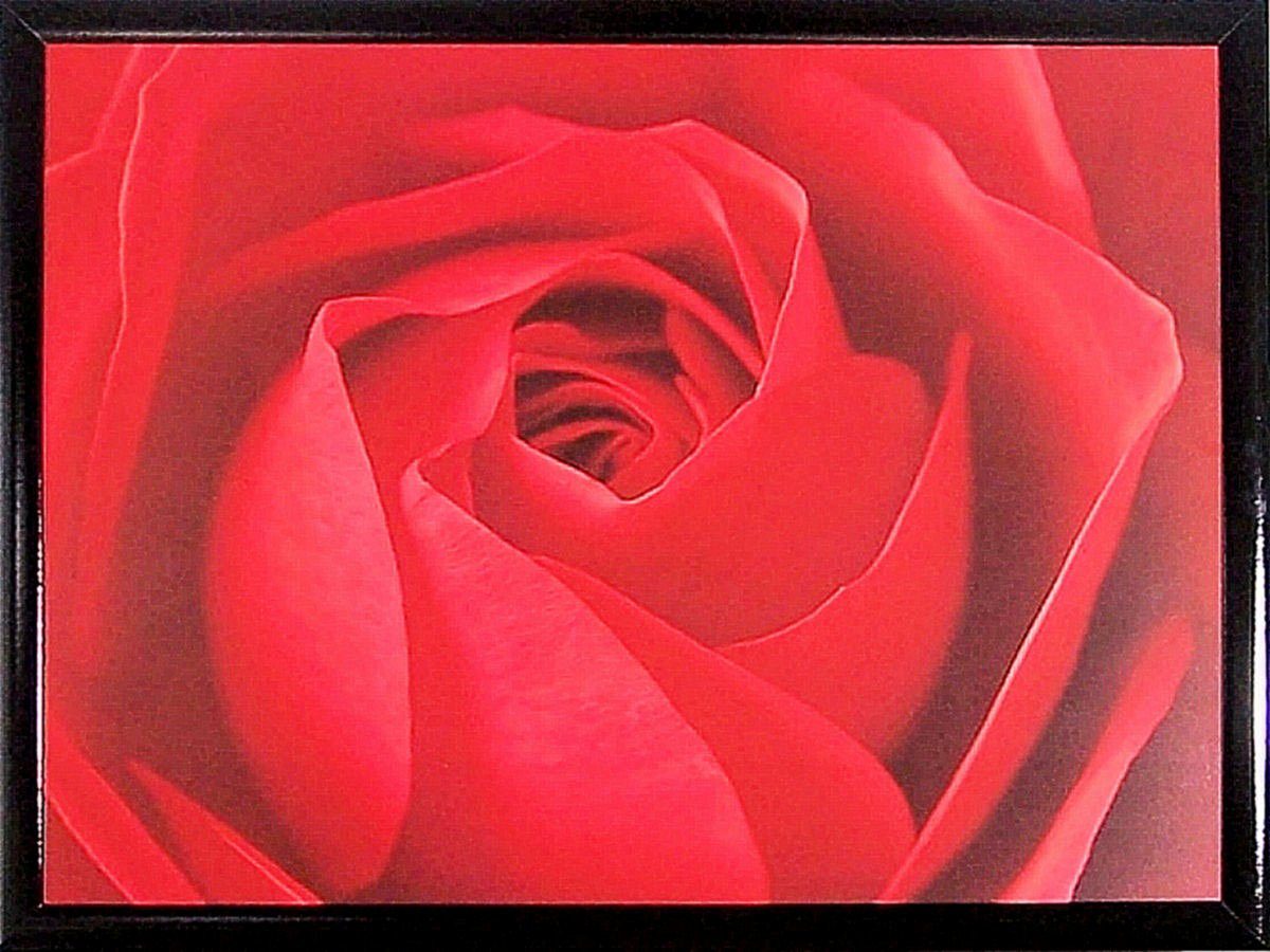 my home Bild mit Rahmen »Ce la Rose«, (1 Stück)-Otto