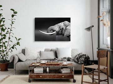 Sinus Art Leinwandbild 120x80cm Wandbild auf Leinwand Elefant Stoßzähne Schwarz Weiß Tierfoto, (1 St)