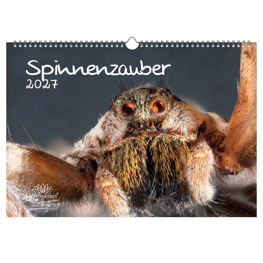 Seelenzauber Wandkalender Spinnenzauber DIN A3 Kalender für 2027 - Seelenzauber