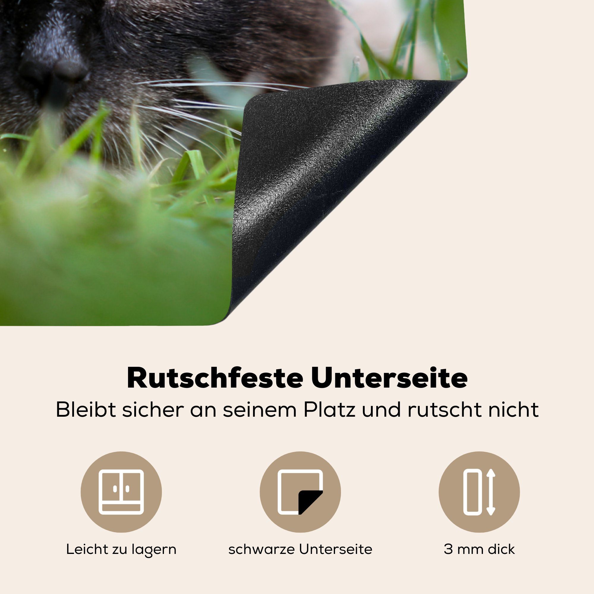 küche, MuchoWow Katze (1 Ceranfeldabdeckung - Herdblende-/Abdeckplatte - Schutz die Gras für cm, Vinyl, tlg), Induktionskochfeld Porträt, 81x52