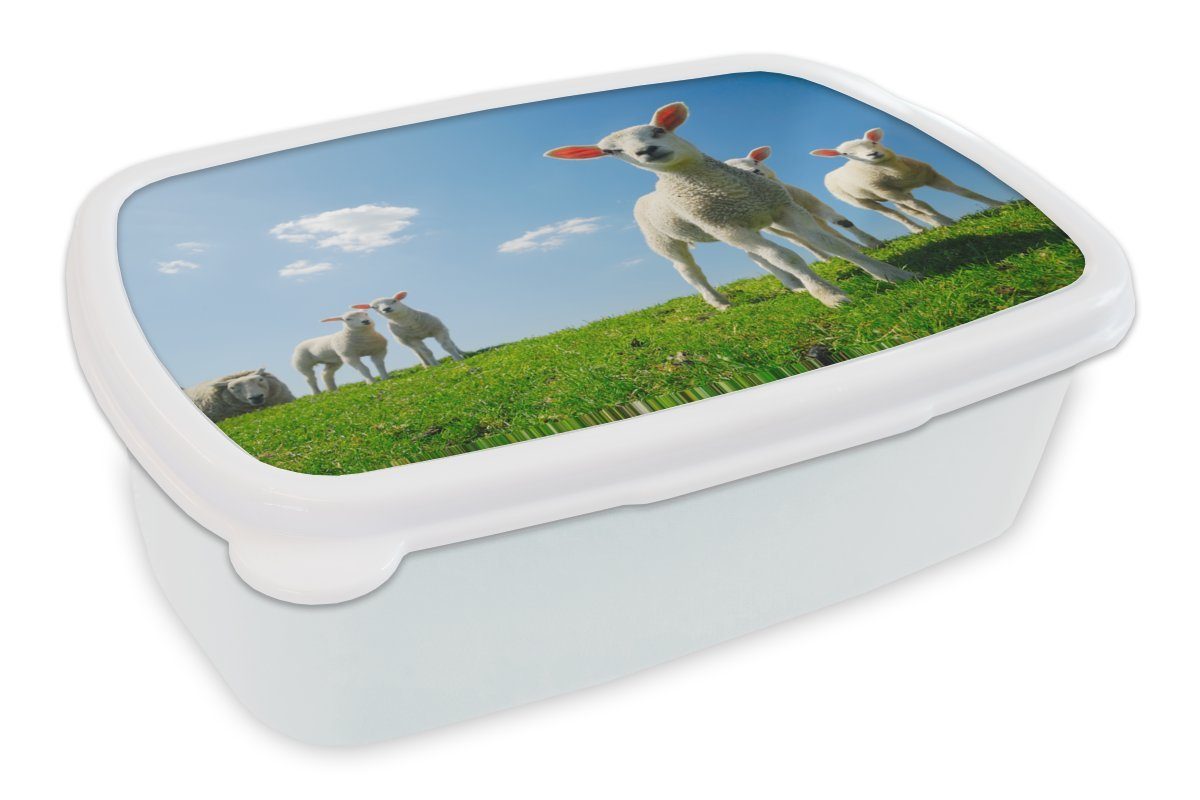 MuchoWow Lunchbox Schafe - Frühling - Landschaft, Kunststoff, (2-tlg), Brotbox für Kinder und Erwachsene, Brotdose, für Jungs und Mädchen weiß