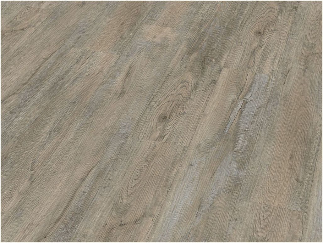 Check Vinylboden Klebe-Vinyl CHECK expert 2405E Theodor Eiche Diele Standard