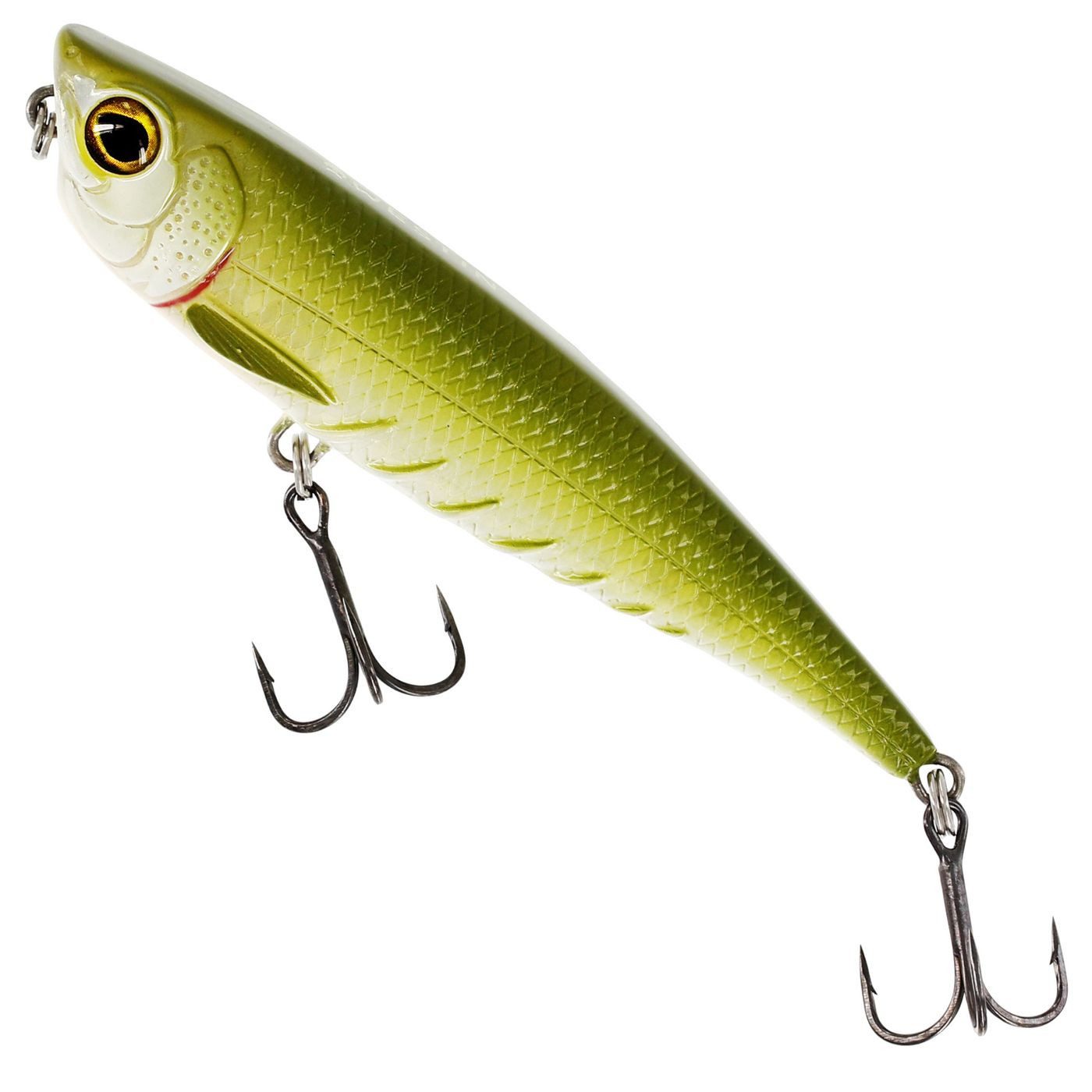 Green Minnow