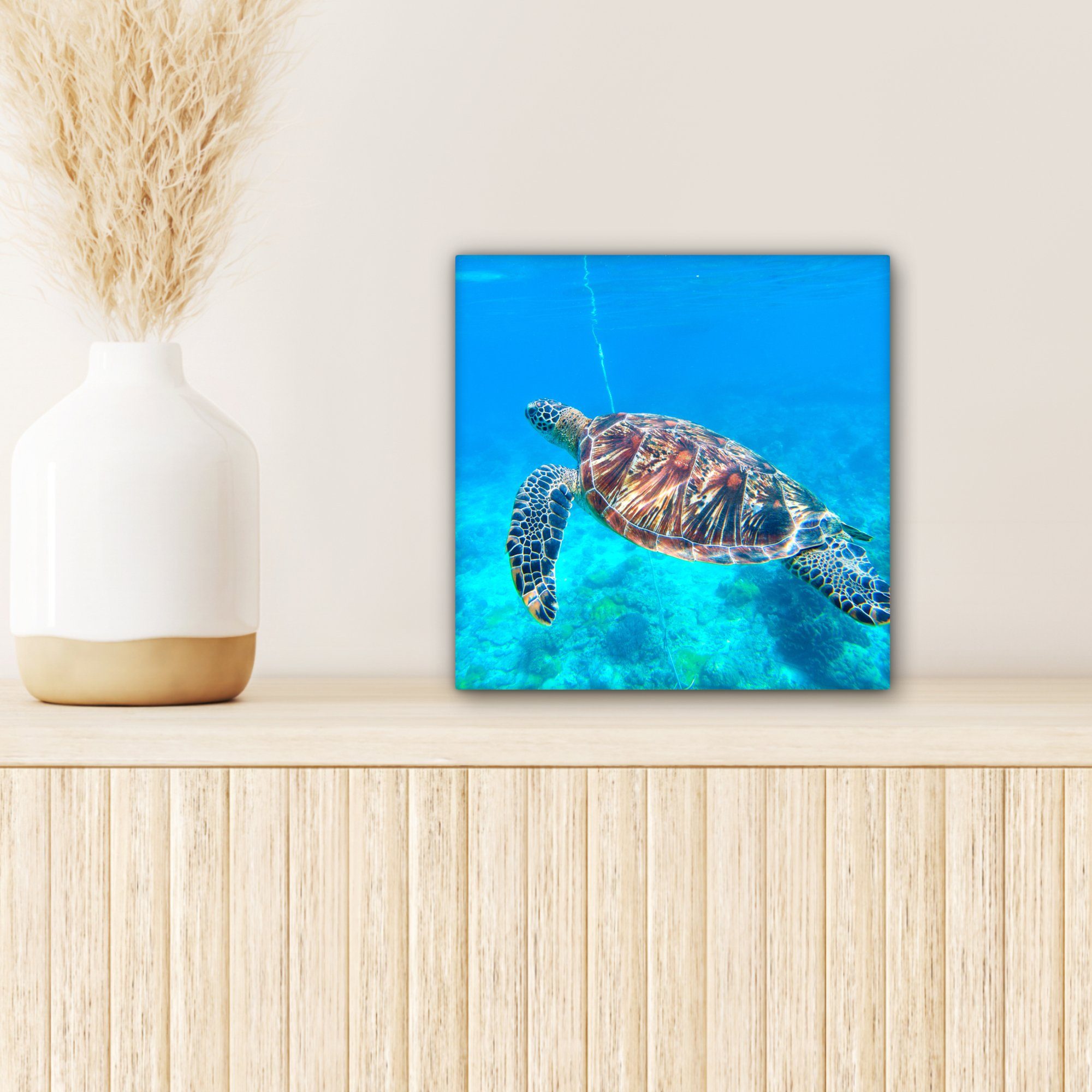 Wasser, Schlafzimmer, OneMillionCanvasses® Leinwand für Schildkröte Meer Leinwandbild St), cm Bilder - (1 - 20x20 Wohnzimmer