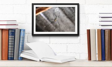 WandbilderXXL Bild mit Rahmen Beauty Of Spider, Spinne, Wandbild, in 4 Größen erhältlich
