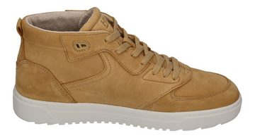 HUB NEVADA N42 Sneaker brown sugar