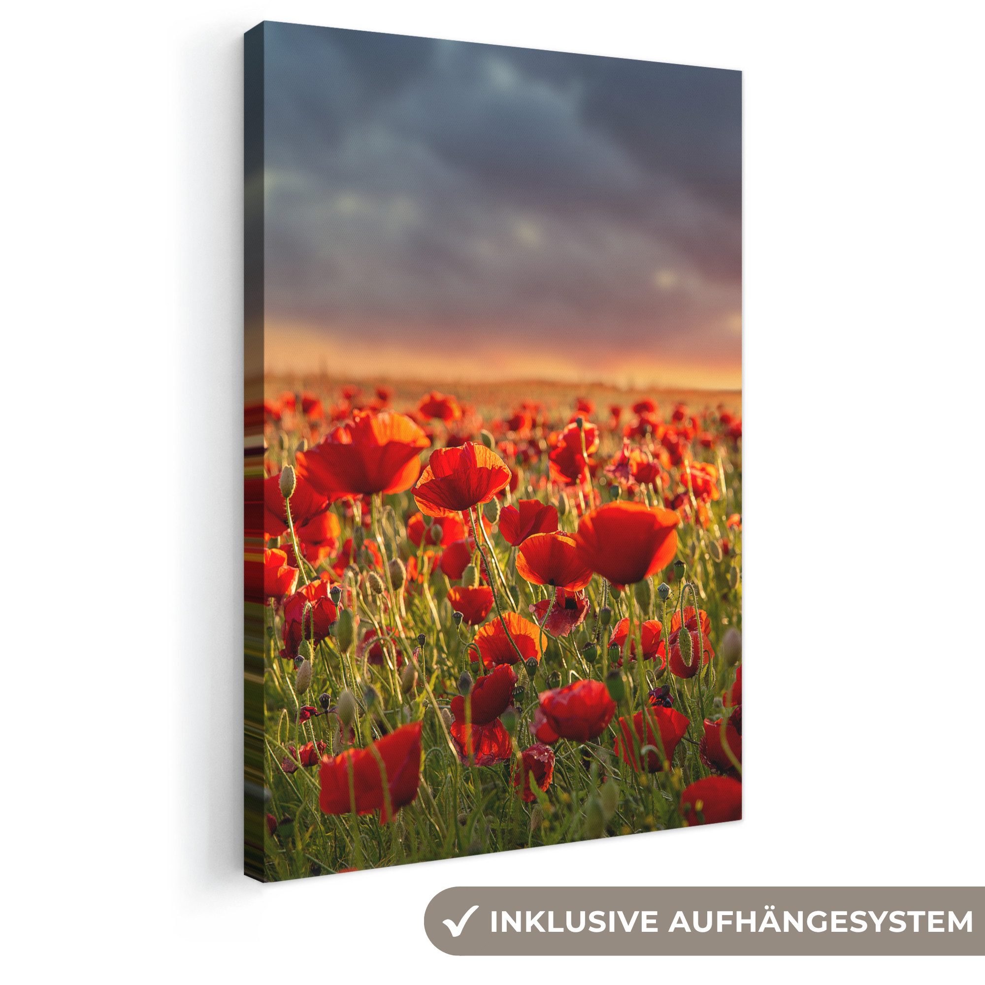 OneMillionCanvasses® Leinwandbild Sonnenuntergang – Mohnblumen – Rot – Blumen – Feld – Natur, Fotodruck (1 St), Leinwand Canvas Wandbild, Wanddekoration 20x30 cm