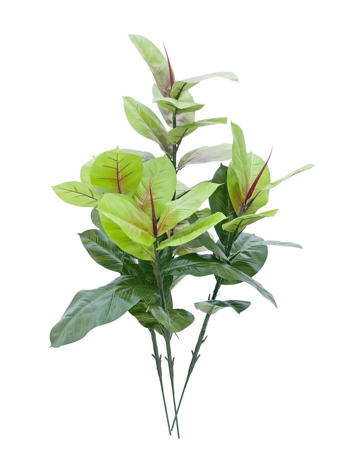 Kunstpflanze Gummibaum