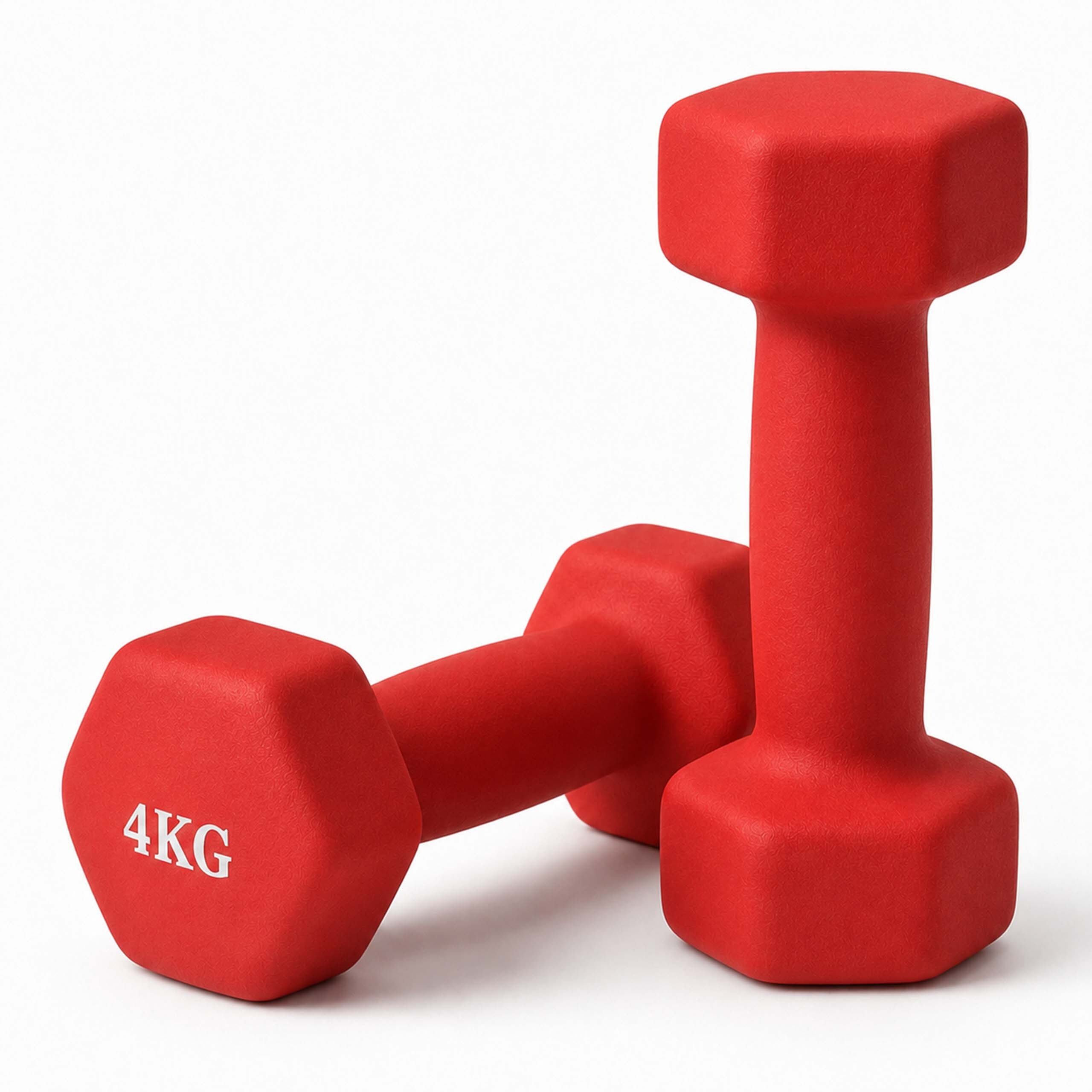 Gymnastikhantel Hanteln 2er Set Gusseisen