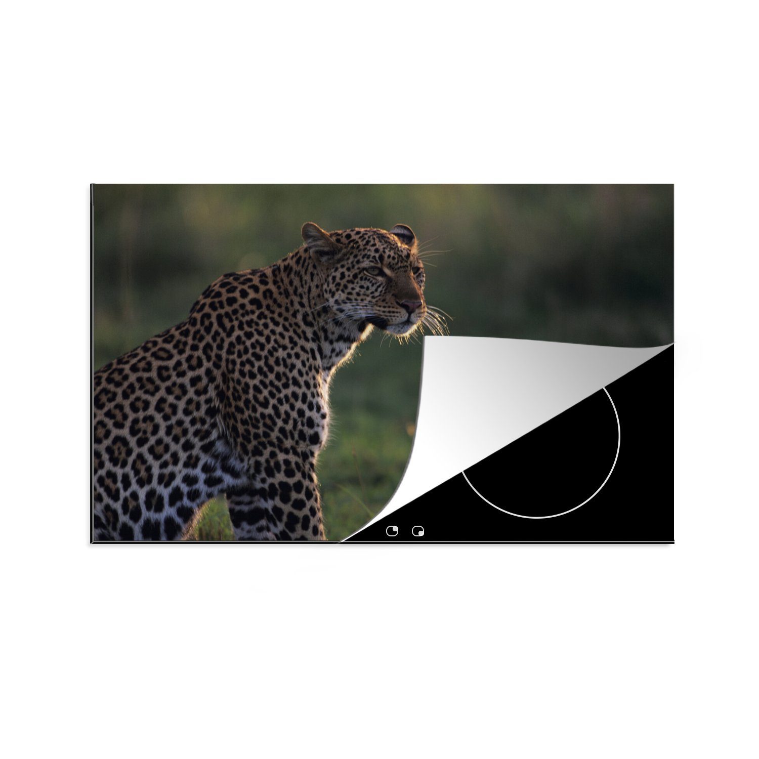 MuchoWow Herdblende-/Abdeckplatte Panther mit Blick über die Savanne, Vinyl, (1 tlg), 81x52 cm, Induktionskochfeld Schutz für die küche, Ceranfeldabdeckung