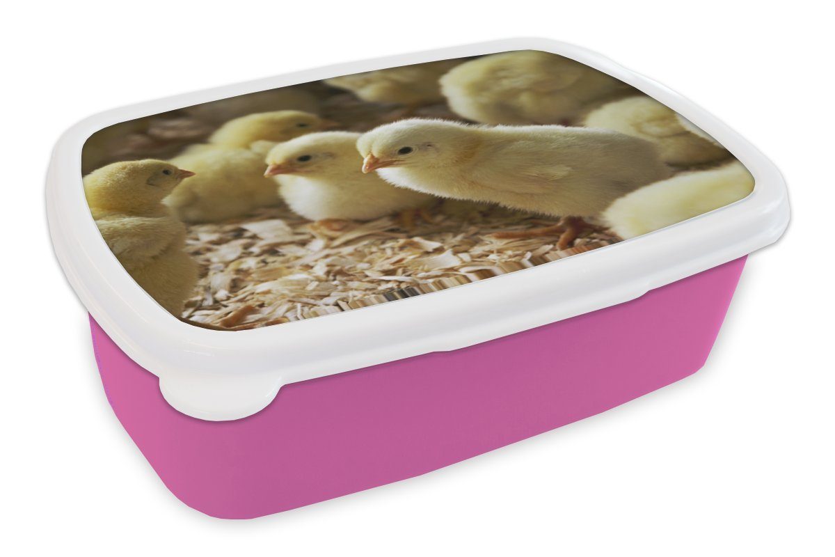 MuchoWow Lunchbox Babyküken im Sägemehl, Kunststoff, (2-tlg), Brotbox für Erwachsene, Brotdose Kinder, Snackbox, Mädchen, Kunststoff rosa