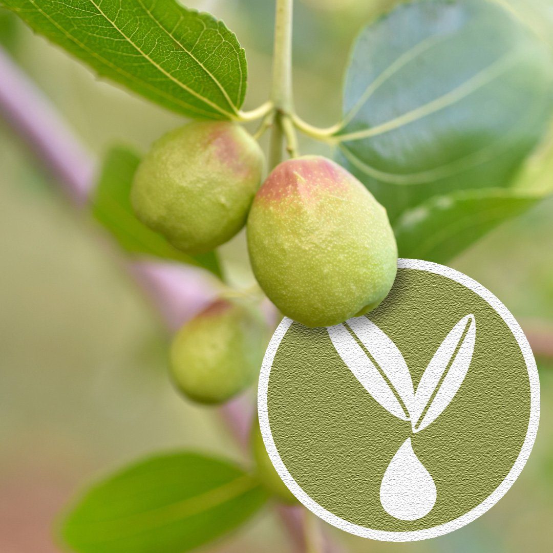 Paradies Kunstfaserbettdecke Dala Bio, Füllung: 100% Polyester, Bezug: 100% Baumwolle kbA, maximales Volumen