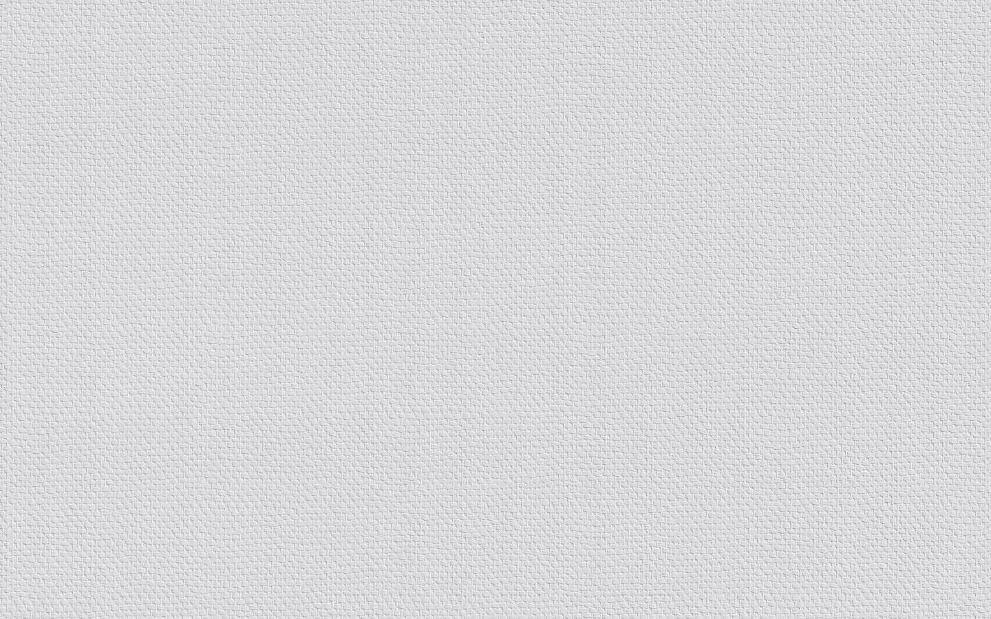 Vliestapete 6 Rollen ERFURT VLIESFASER PROTECT 205 Vliestapete 10,05 x 0,53m