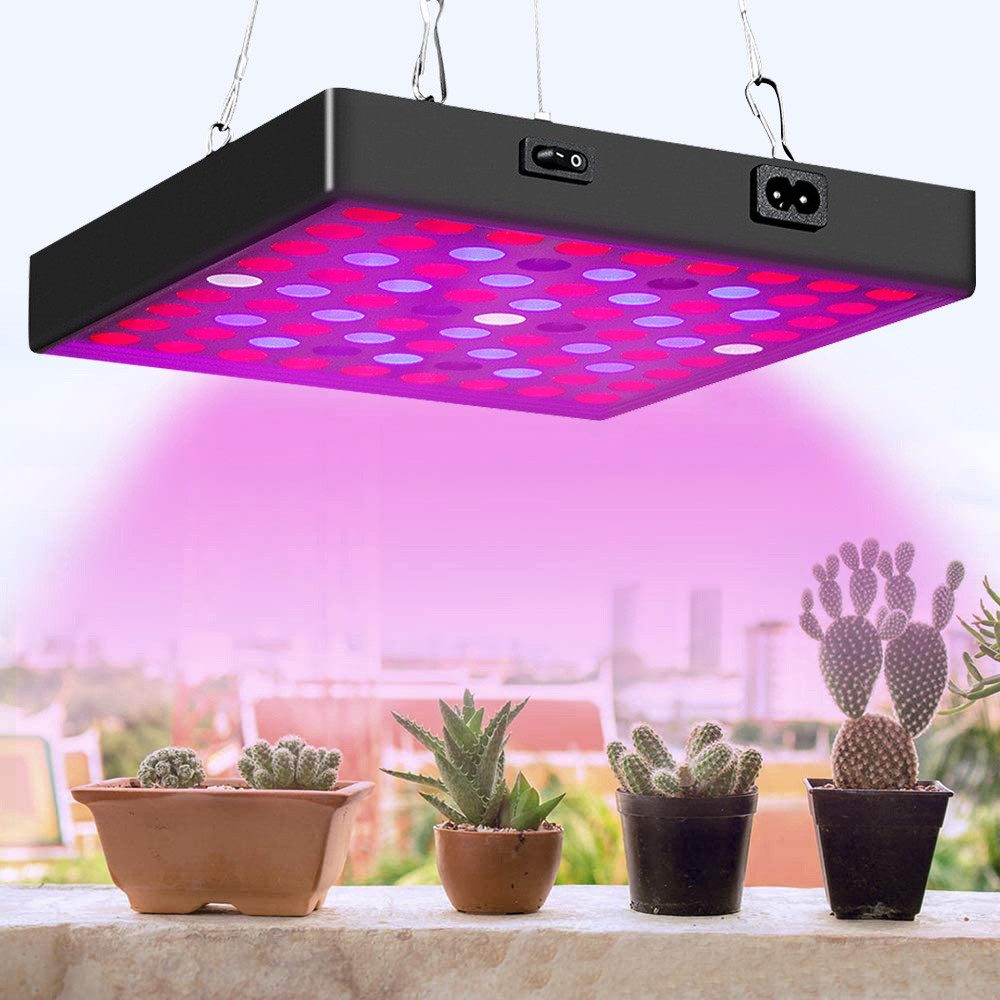 Rosnek Pflanzenlampe LED Grow Lampe für Pflanzen mit VEG BLOOM & 81–312 LED günstig online kaufen