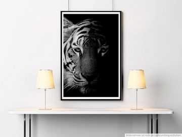 Sinus Art Poster Wunderschöner Tigerkopf 60x90cm Poster