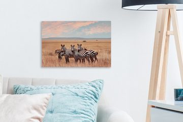OneMillionCanvasses® Leinwandbild Zebras auf dem Lande, (1 St), Wandbild Leinwandbilder, Aufhängefertig, Wanddeko, 30x20 cm