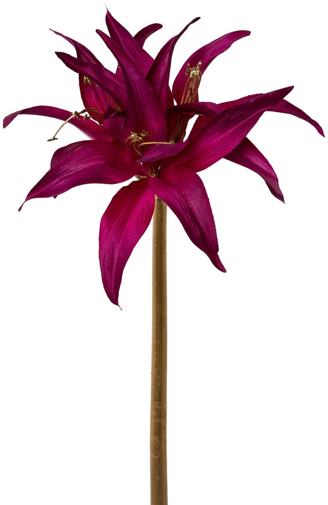 Winterliche Kunstpflanze Weihnachtsdeko Amaryllis, Creativ green, Höhe 52 cm,  tolle Kombi: purple mit goldfarben, 3er-Set