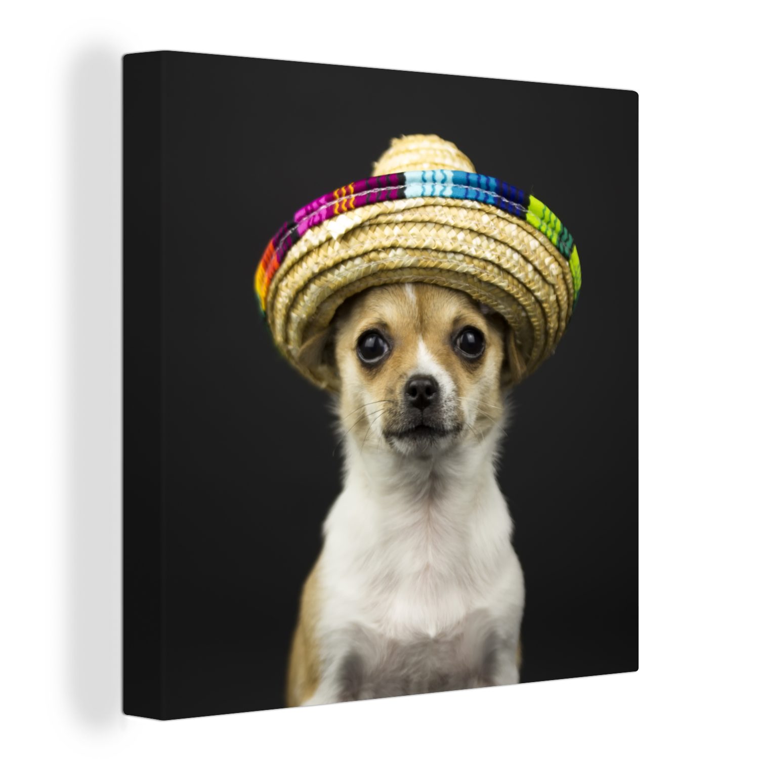 OneMillionCanvasses® Leinwandbild Hund - Sombrero - Schwarz, (1 St), Leinwand Bilder für Wohnzimmer Schlafzimmer
