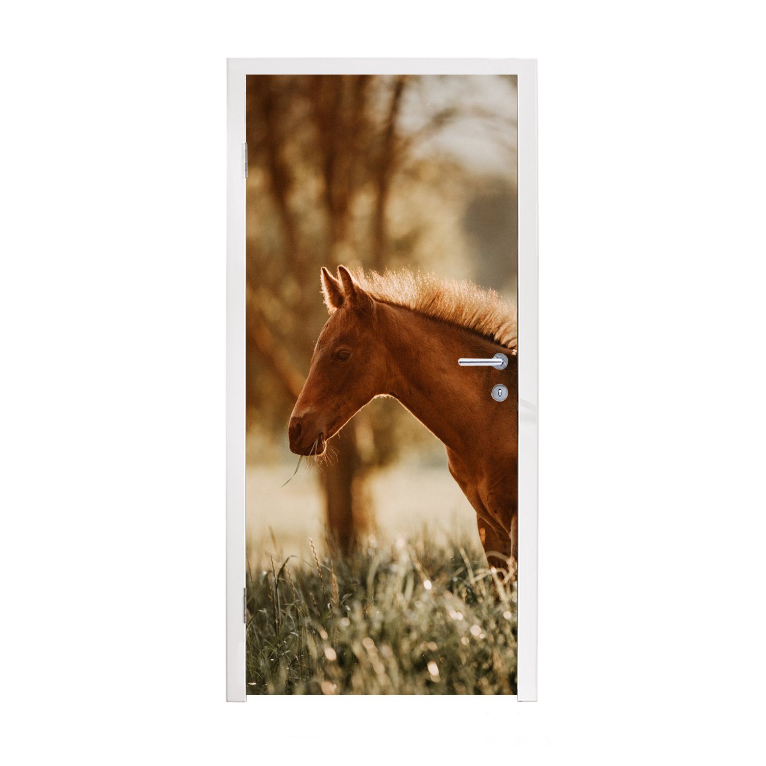Matt, für Licht Fototapete Tür, Wiese, - - bedruckt, Türtapete Pferd MuchoWow St), (1 75x205 Türaufkleber, cm