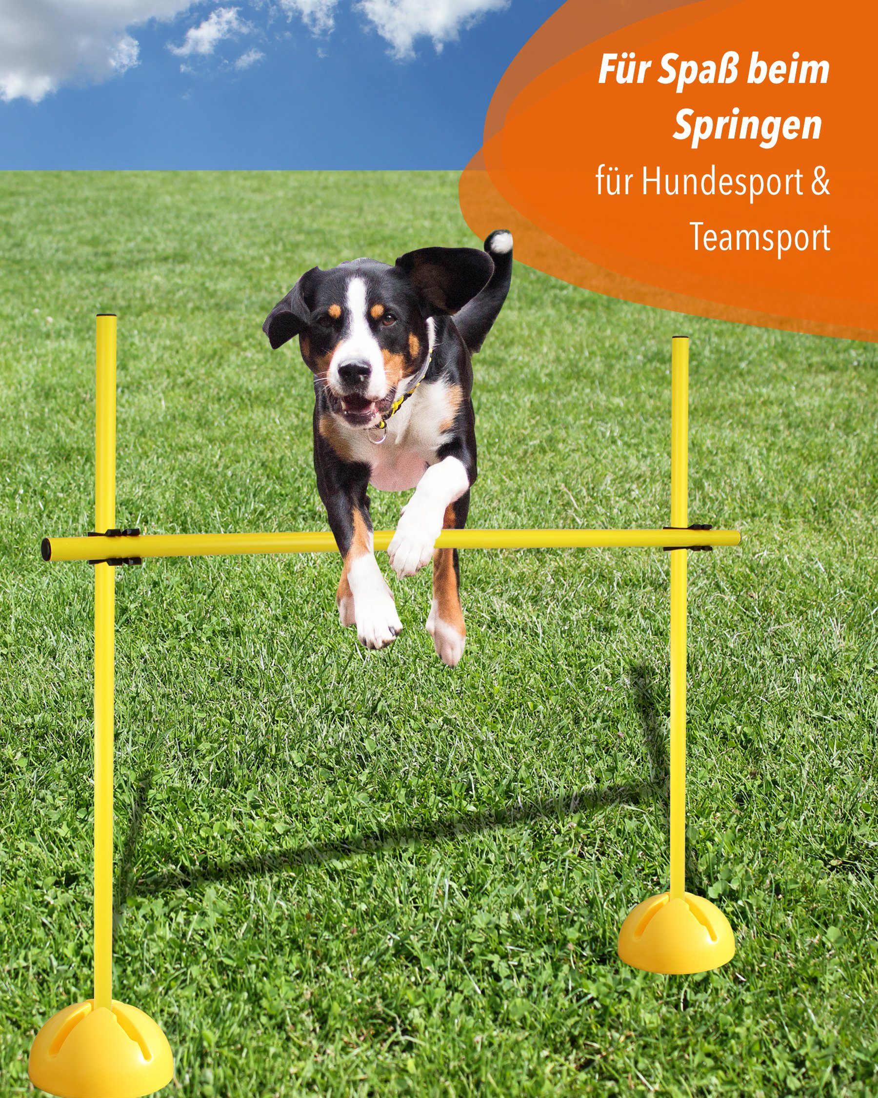 SPORTIKEL24 Hürde X-Fuß Hürdenset mit Stange 100 cm Farbe Gelb, Leichte Montage