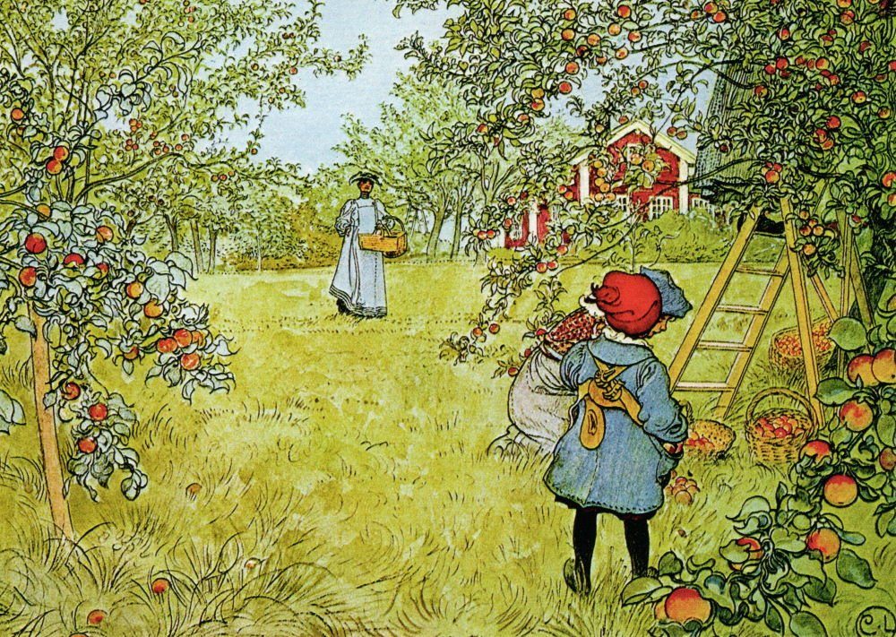 Postkarte Kunstkarte Carl Larsson "Apfelernte"