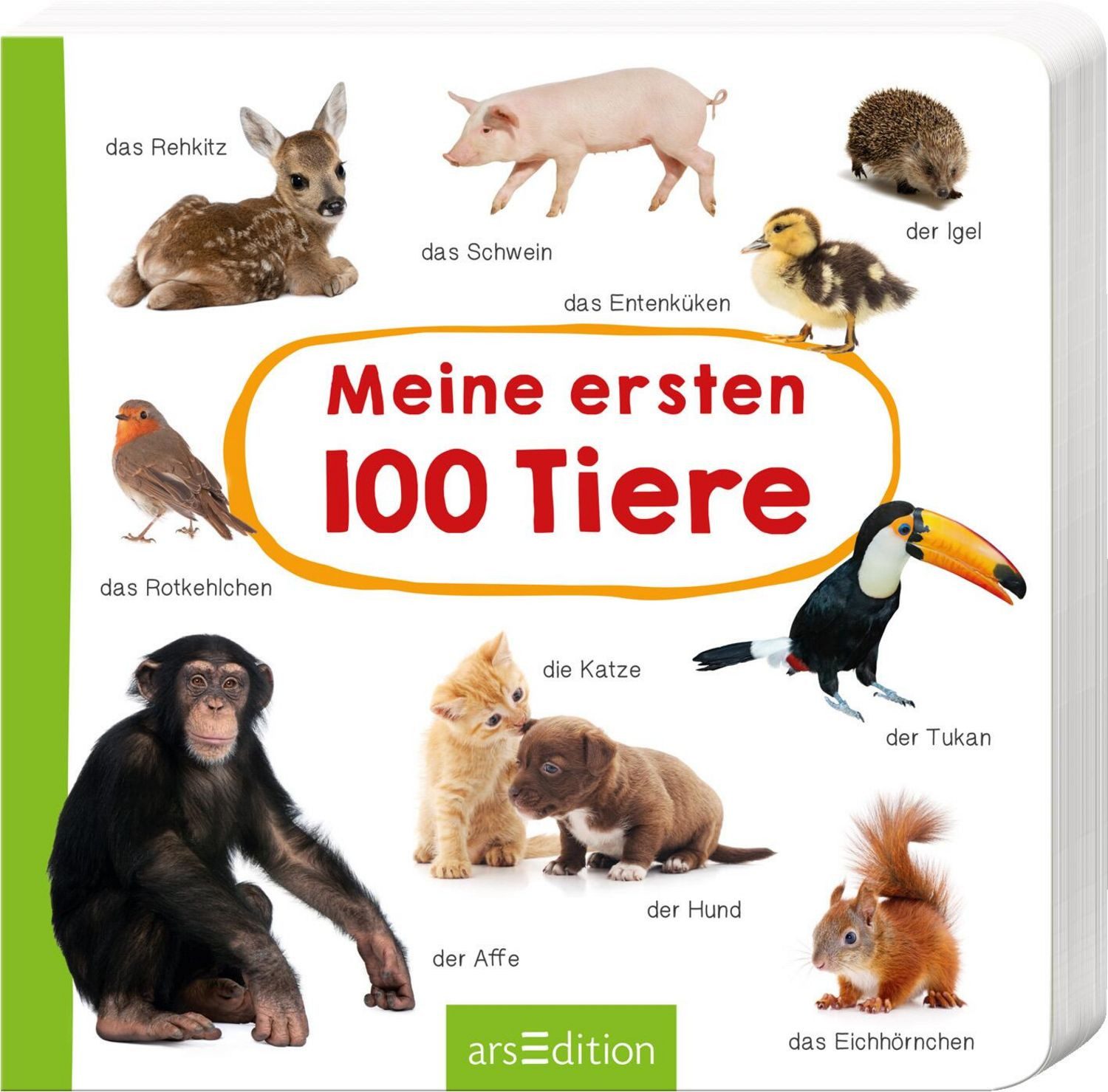 Meine ersten 100 Tiere / diverse