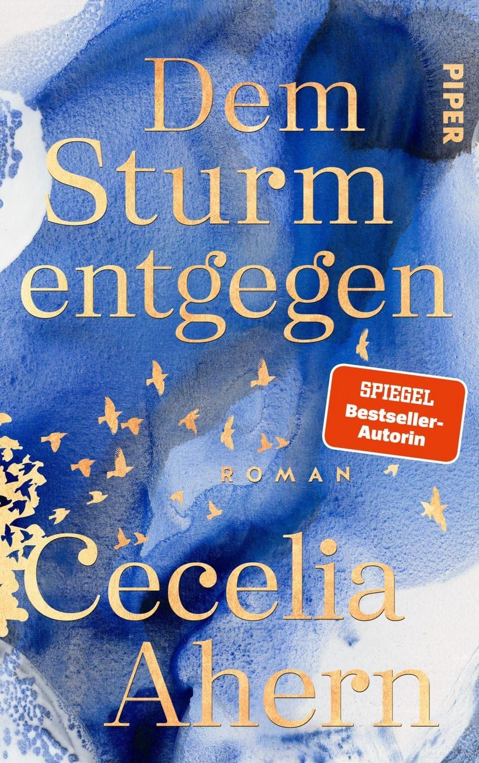 Belletristik Dem Sturm entgegen Roman, Der neue Roman von Bestsellerautorin Ceceli Cecelia Ahern